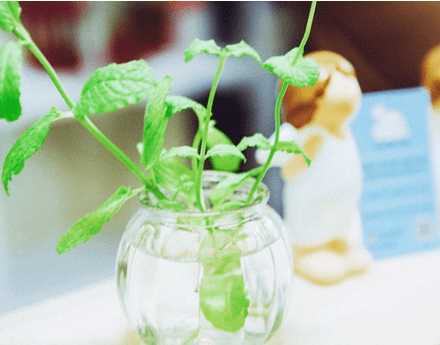 情人节必点赞的朋友圈说说