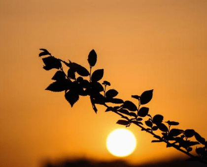 游戏名字简单干净古风 *·追