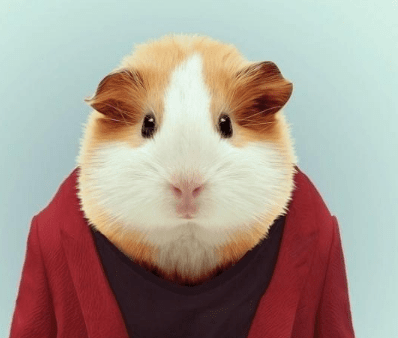 2022四个字网名_战天弑魔°