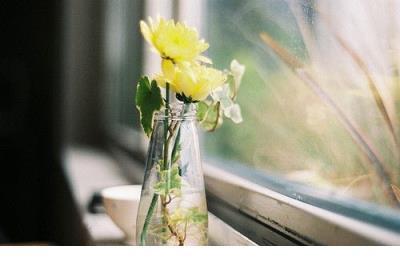 关于520网络情人节的搞笑签名说说--有的时候说是愿意